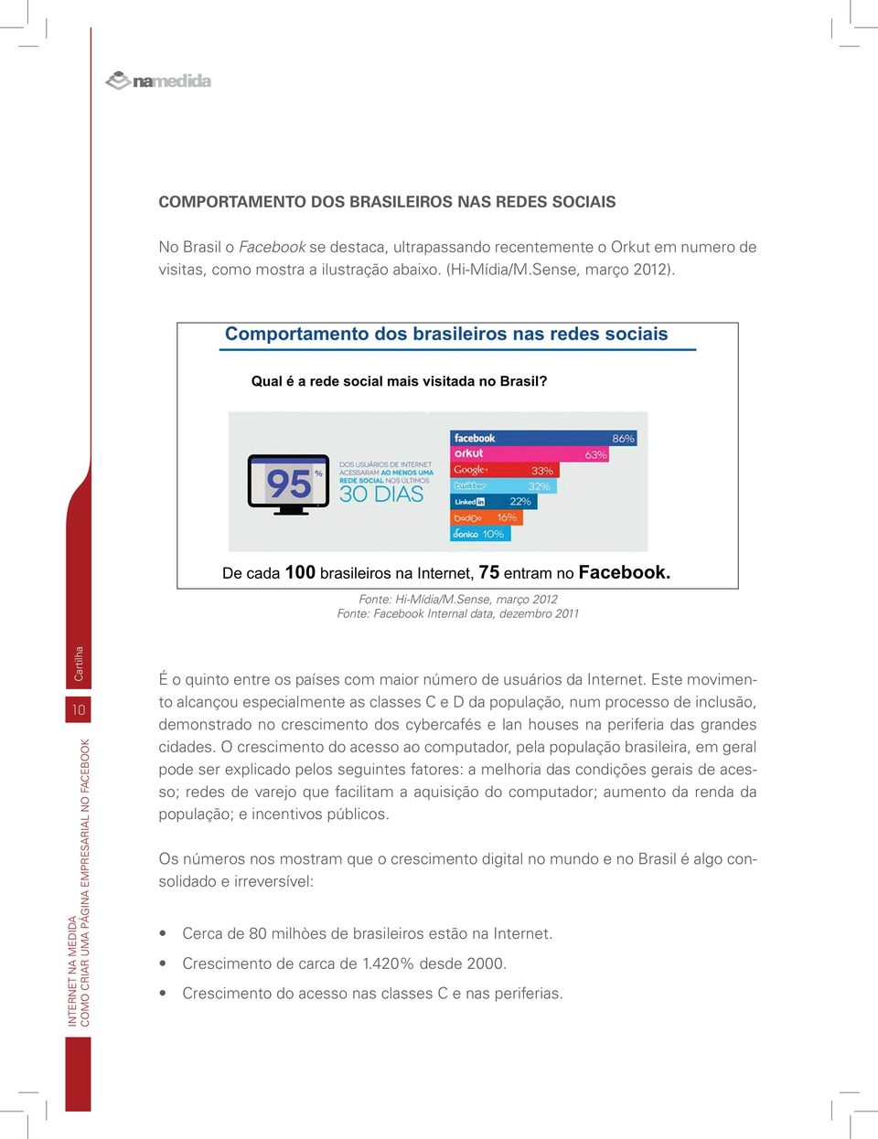 Este movimento alcançou especialmente as classes C e D da população, num processo de inclusão, demonstrado no crescimento dos cybercafés e lan houses na periferia das grandes cidades.