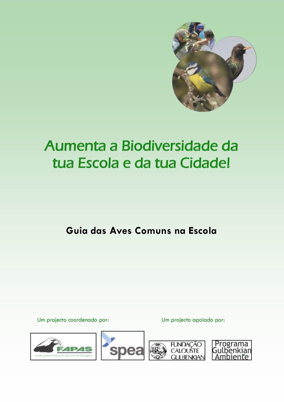 Guia das Aves Comuns na Escola Um