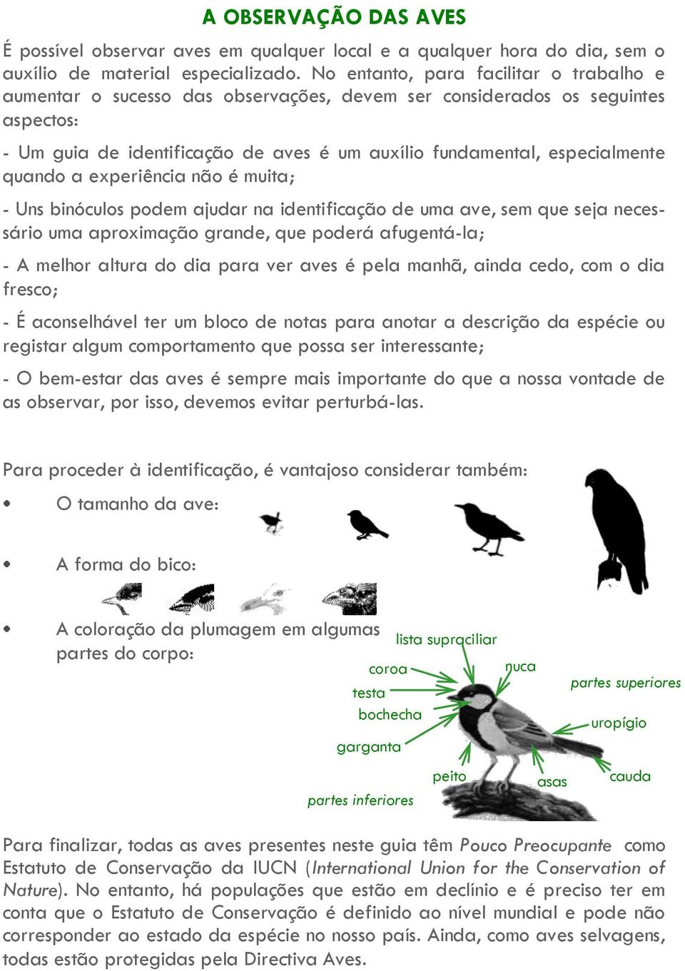 quando a experiência não é muita; - Uns binóculos podem ajudar na identificação de uma ave, sem que seja necessário uma aproximação grande, que poderá afugentá-la; - A melhor altura do dia para ver