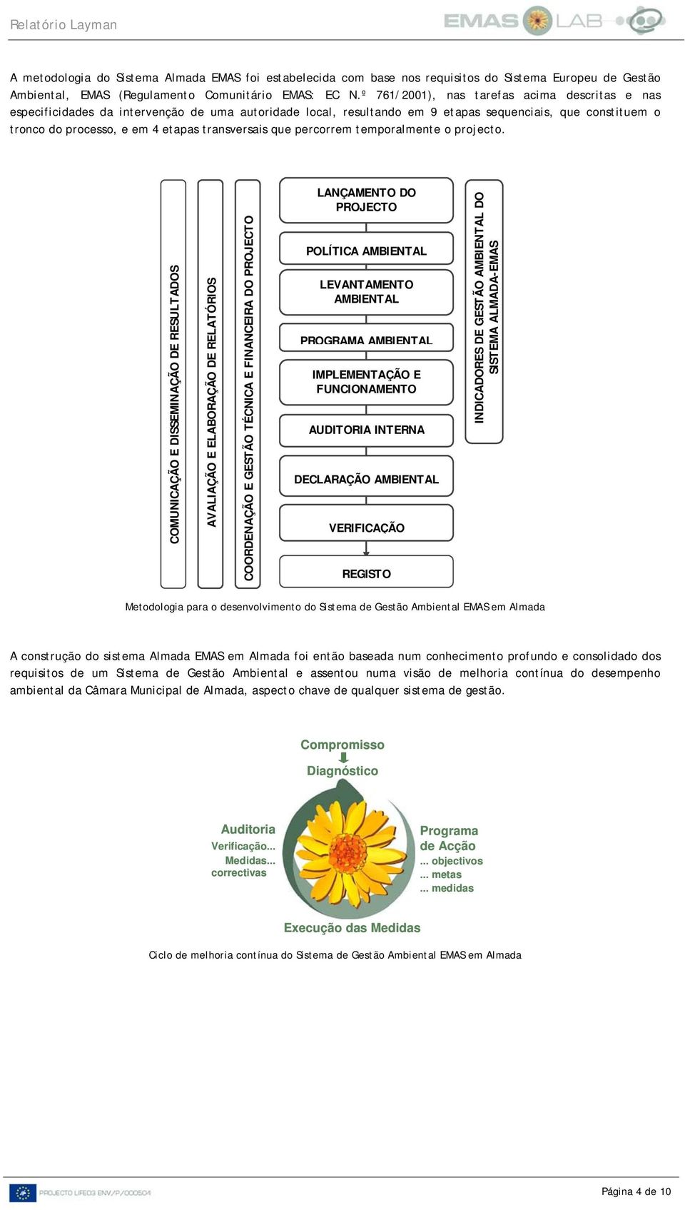 transversais que percorrem temporalmente o projecto.