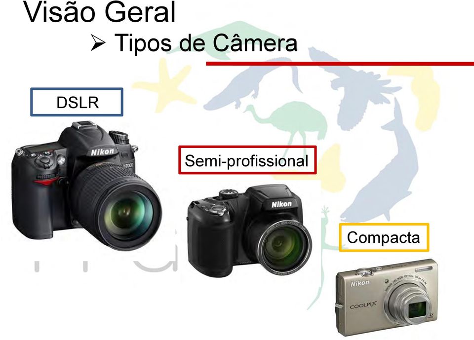 Câmera DSLR