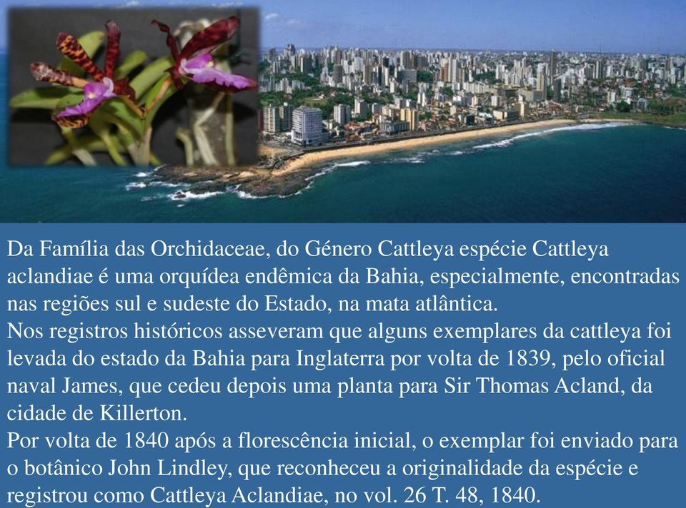 Nos registros históricos asseveram que alguns exemplares da cattleya foi levada do estado da Bahia para Inglaterra por volta de 1839, pelo oficial naval