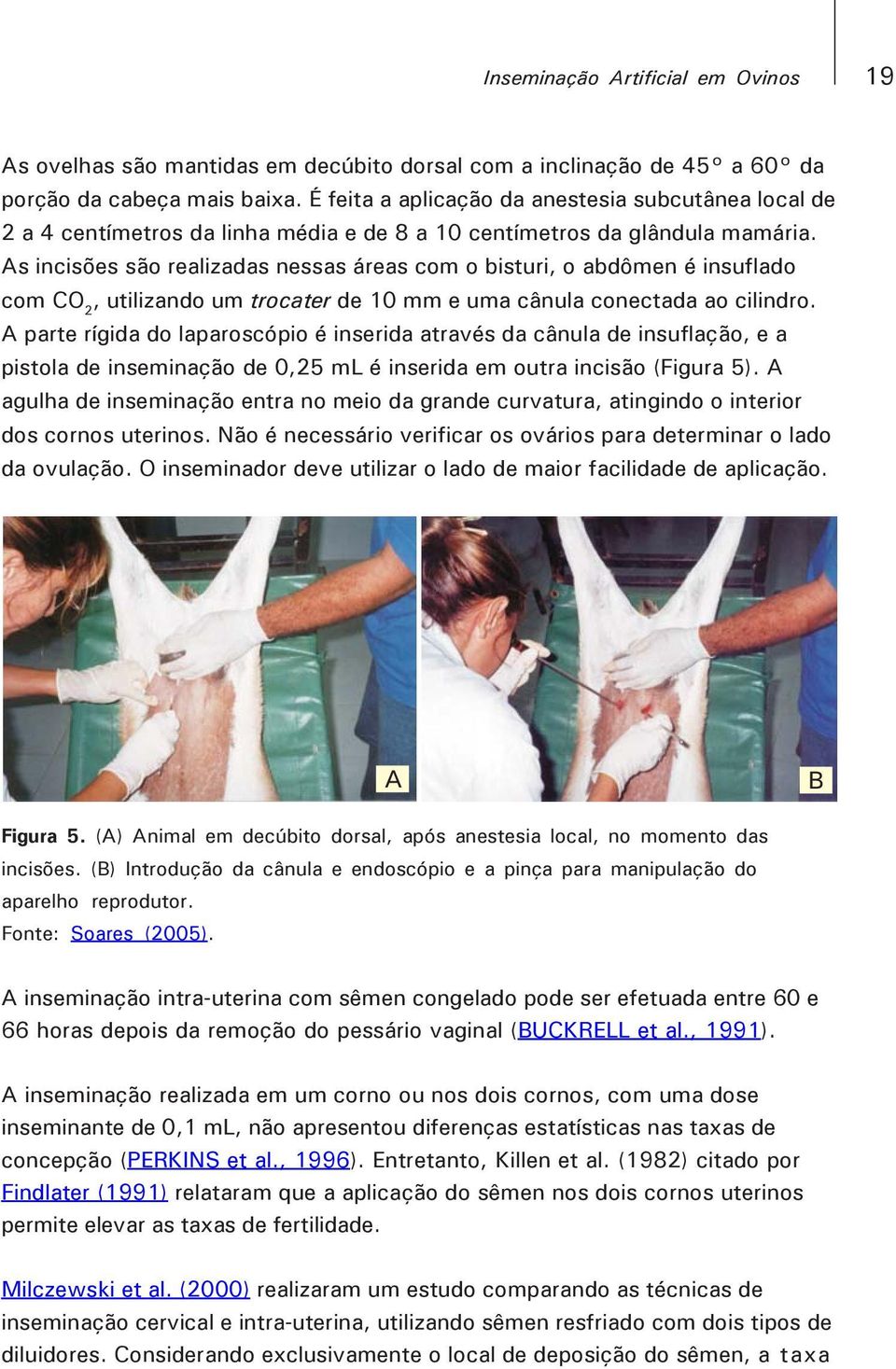 As incisões são realizadas nessas áreas com o bisturi, o abdômen é insuflado com CO 2, utilizando um trocater de 10 mm e uma cânula conectada ao cilindro.