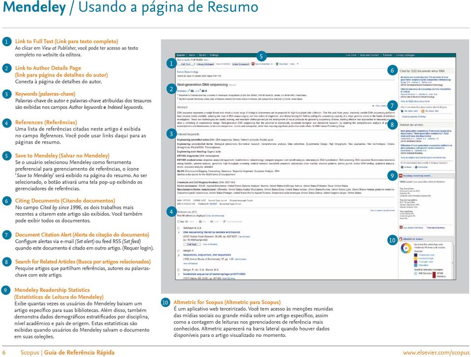 Keywords (palavras-chave) Palavras-chave de autor e palavras-chave atribuídas dos tesauros são exibidas nos campos Author keywords e Indexed keywords.