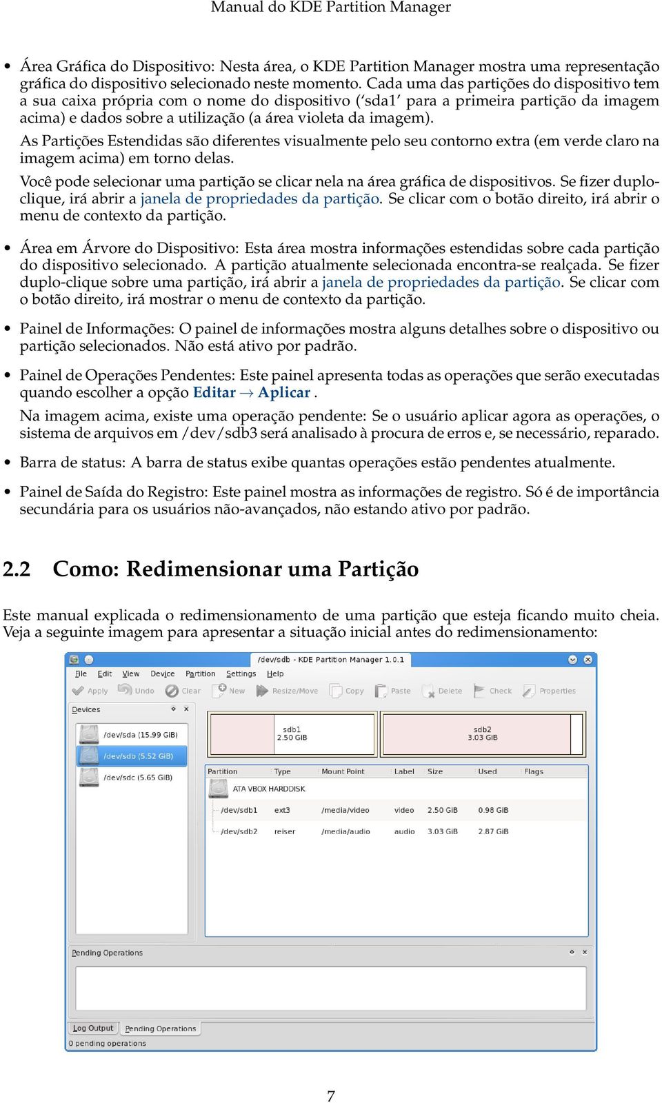 As Partições Estendidas são diferentes visualmente pelo seu contorno extra (em verde claro na imagem acima) em torno delas.