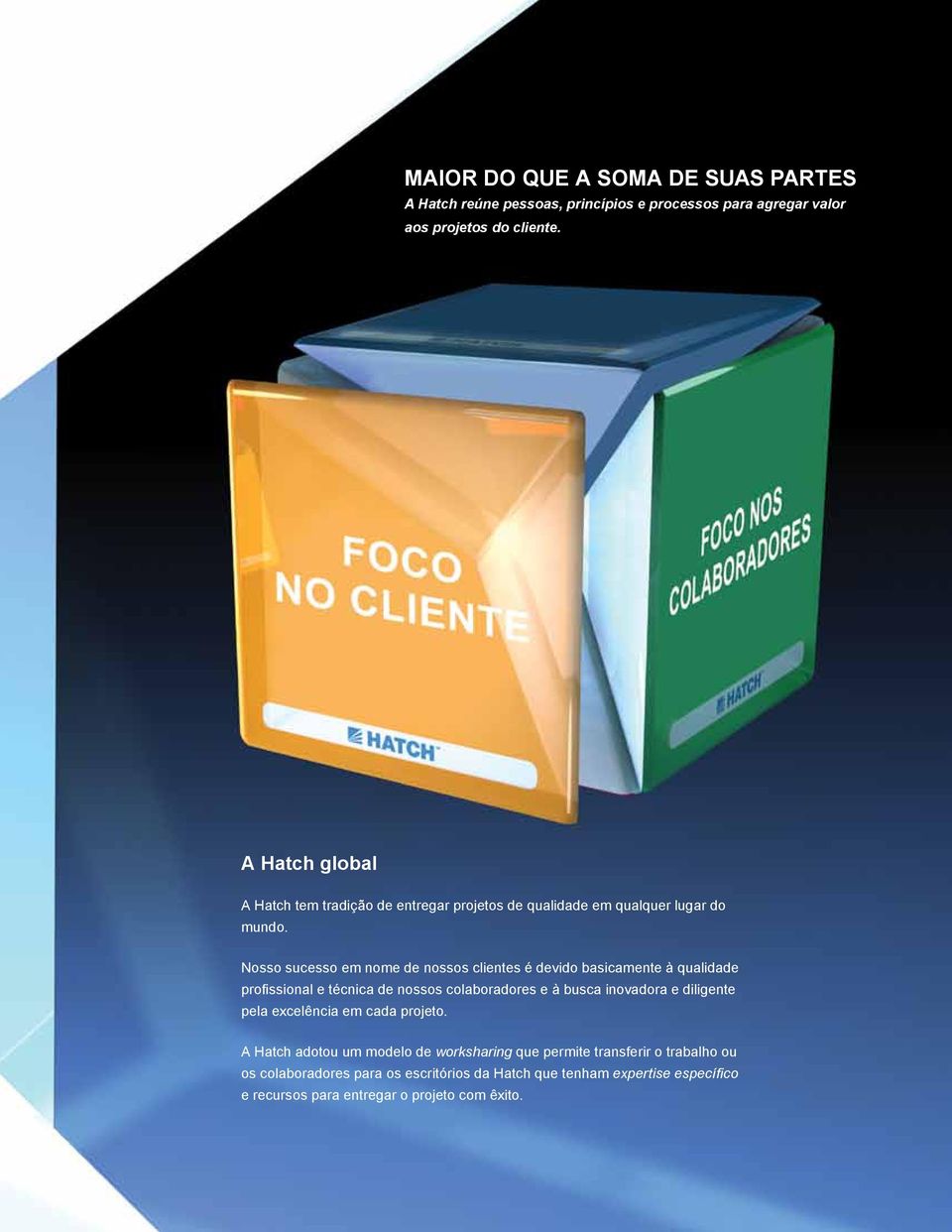 Nosso sucesso em nome de nossos clientes é devido basicamente à qualidade profissional e técnica de nossos colaboradores e à busca inovadora e diligente