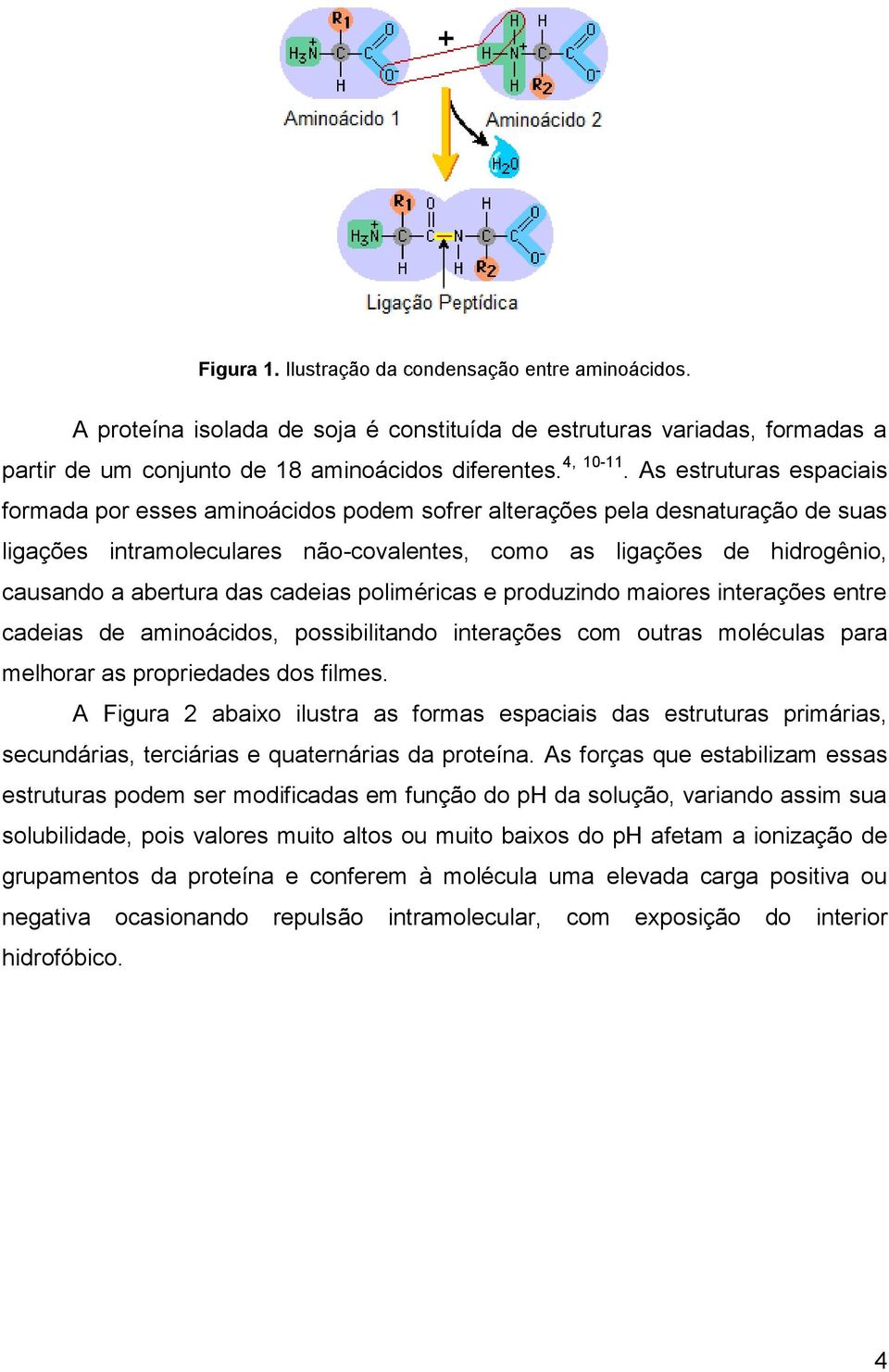 das cadeias poliméricas e produzindo maiores interações entre cadeias de aminoácidos, possibilitando interações com outras moléculas para melhorar as propriedades dos filmes.