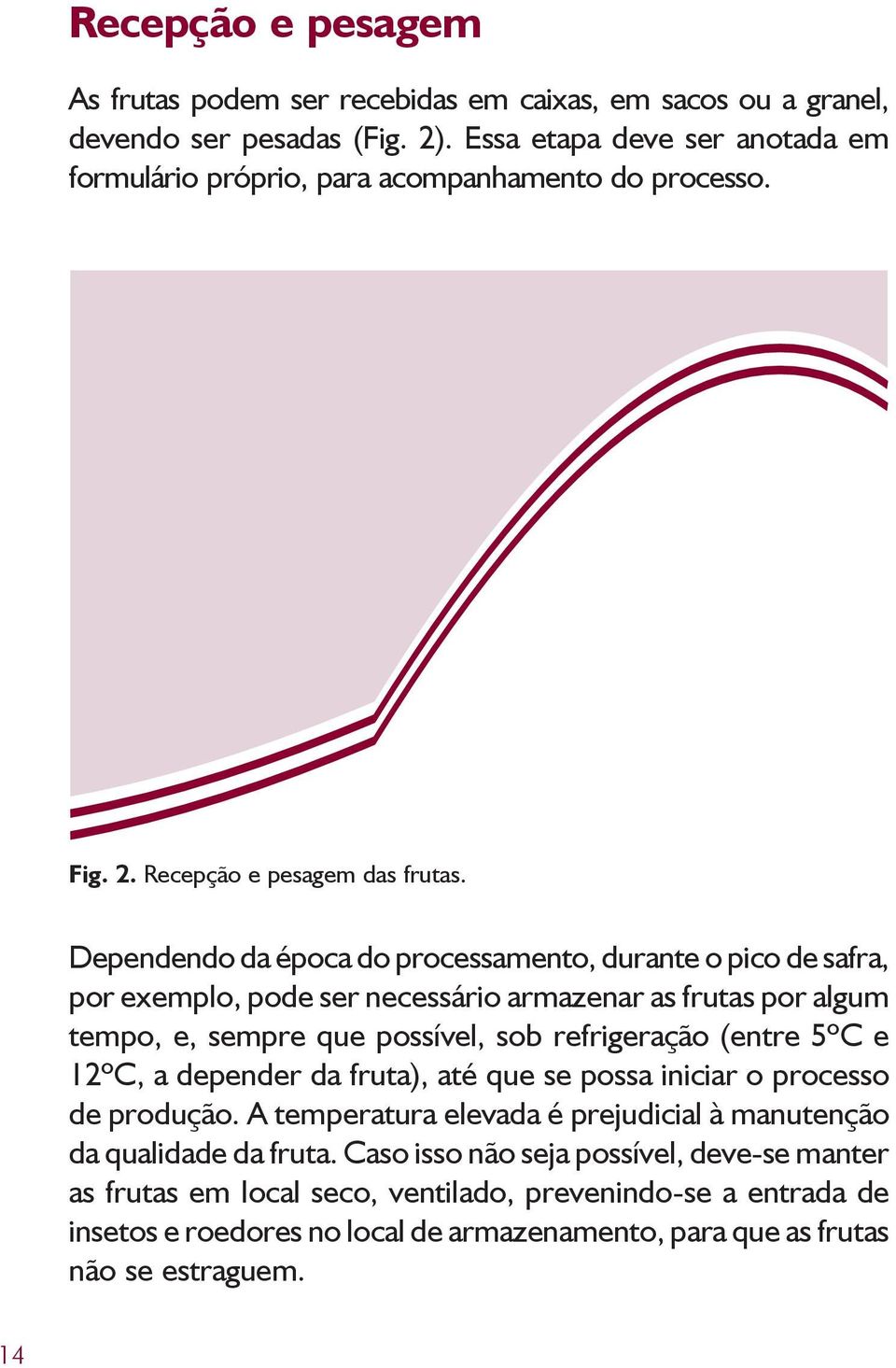 Dependendo da época do processamento, durante o pico de safra, por exemplo, pode ser necessário armazenar as frutas por algum tempo, e, sempre que possível, sob refrigeração (entre 5ºC e