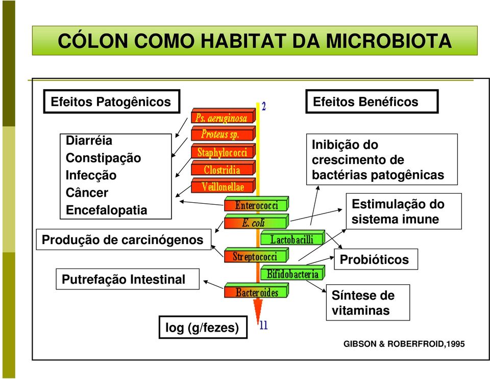 Intestinal log (g/fezes) Inibição do crescimento de bactérias patogênicas