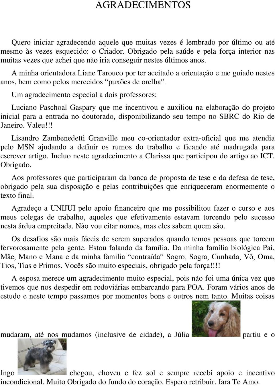 A minha orientadora Liane Tarouco por ter aceitado a orientação e me guiado nestes anos, bem como pelos merecidos puxões de orelha.