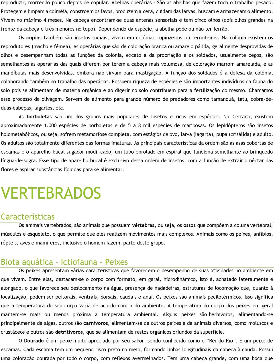 Na cabeça encontram-se duas antenas sensoriais e tem cinco olhos (dois olhos grandes na frente da cabeça e três menores no topo). Dependendo da espécie, a abelha pode ou não ter ferrão.