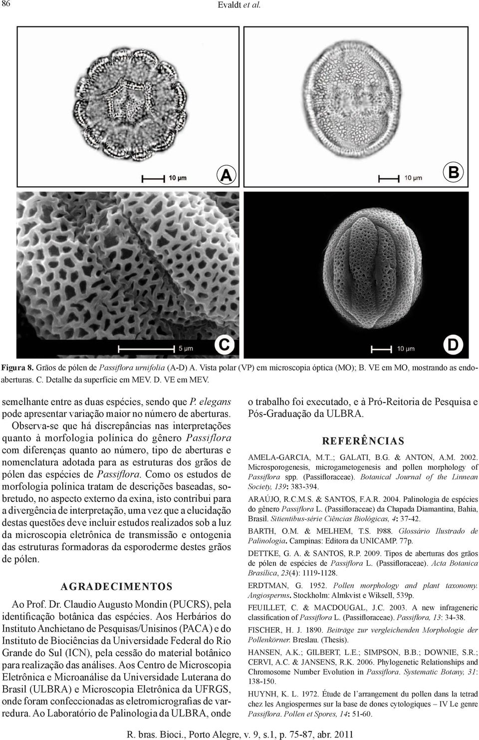 Observa-se que há discrepâncias nas interpretações quanto à morfologia polínica do gênero Passiflora com diferenças quanto ao número, tipo de aberturas e nomenclatura adotada para as estruturas dos