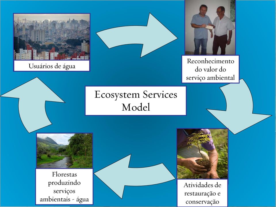 Florestas produzindo serviços ambientais - água