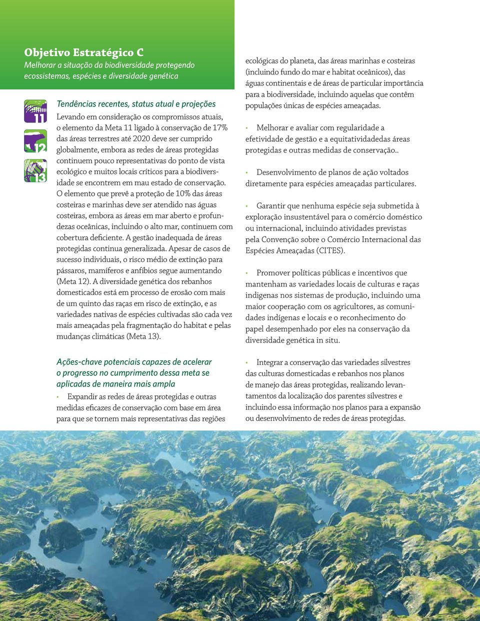 do ponto de vista ecológico e muitos locais críticos para a biodiversidade se encontrem em mau estado de conservação.