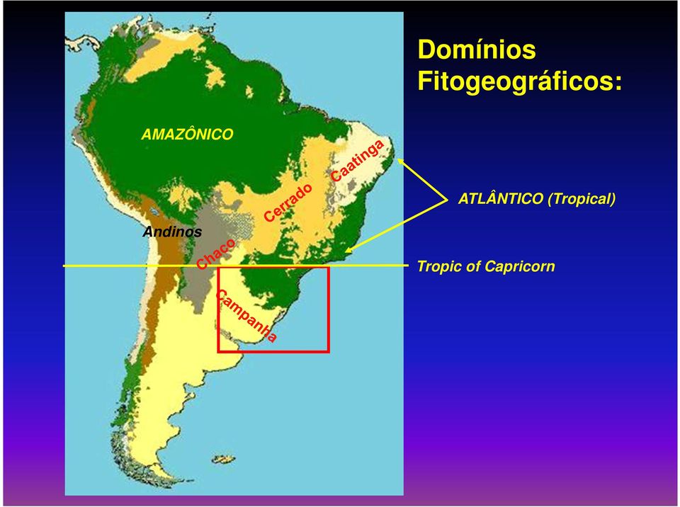 AMAZÔNICO ATLÂNTICO