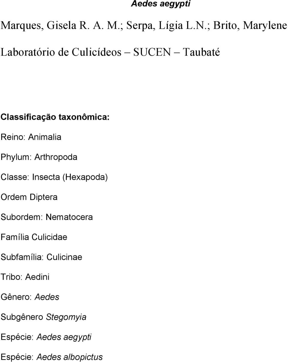 Animalia Phylum: Arthropoda Classe: Insecta (Hexapoda) Ordem Diptera Subordem: Nematocera