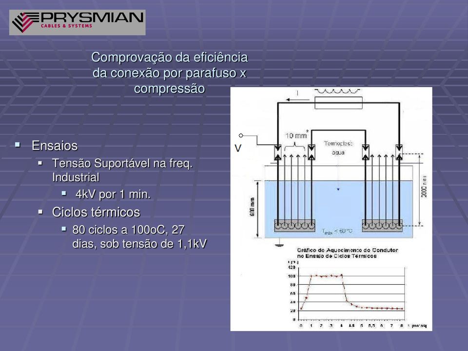 Suportável na freq. Industrial 4kV por 1 min.