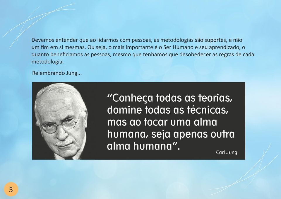 que tenhamos que desobedecer as regras de cada metodologia. Relembrando Jung.