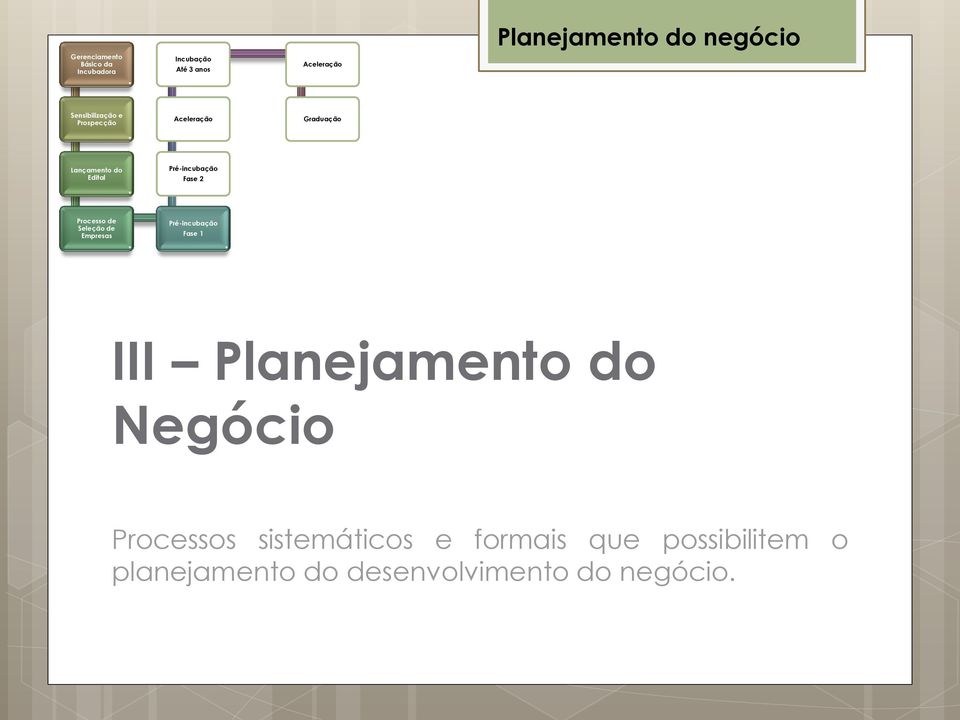 Pré-incubação Fase 2 Processo de Seleção de Empresas Pré-incubação Fase 1 III