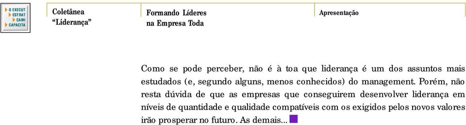 Porém, não resta dúvida de que as empresas que conseguirem desenvolver liderança em níveis de