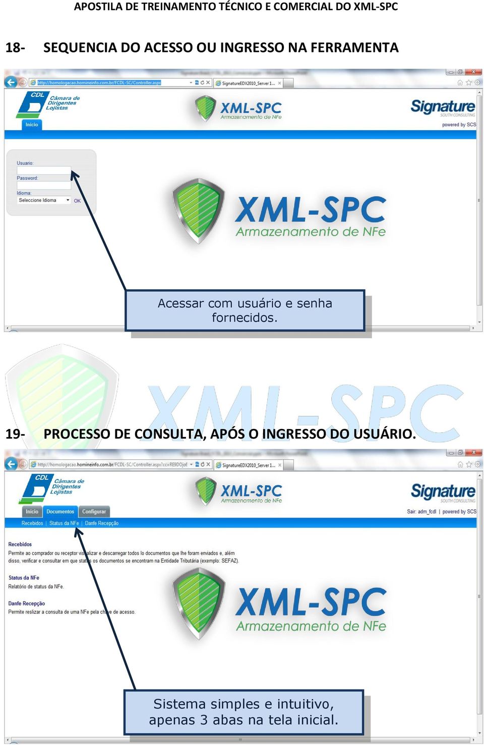 19- PROCESSO DE CONSULTA, APÓS O INGRESSO DO