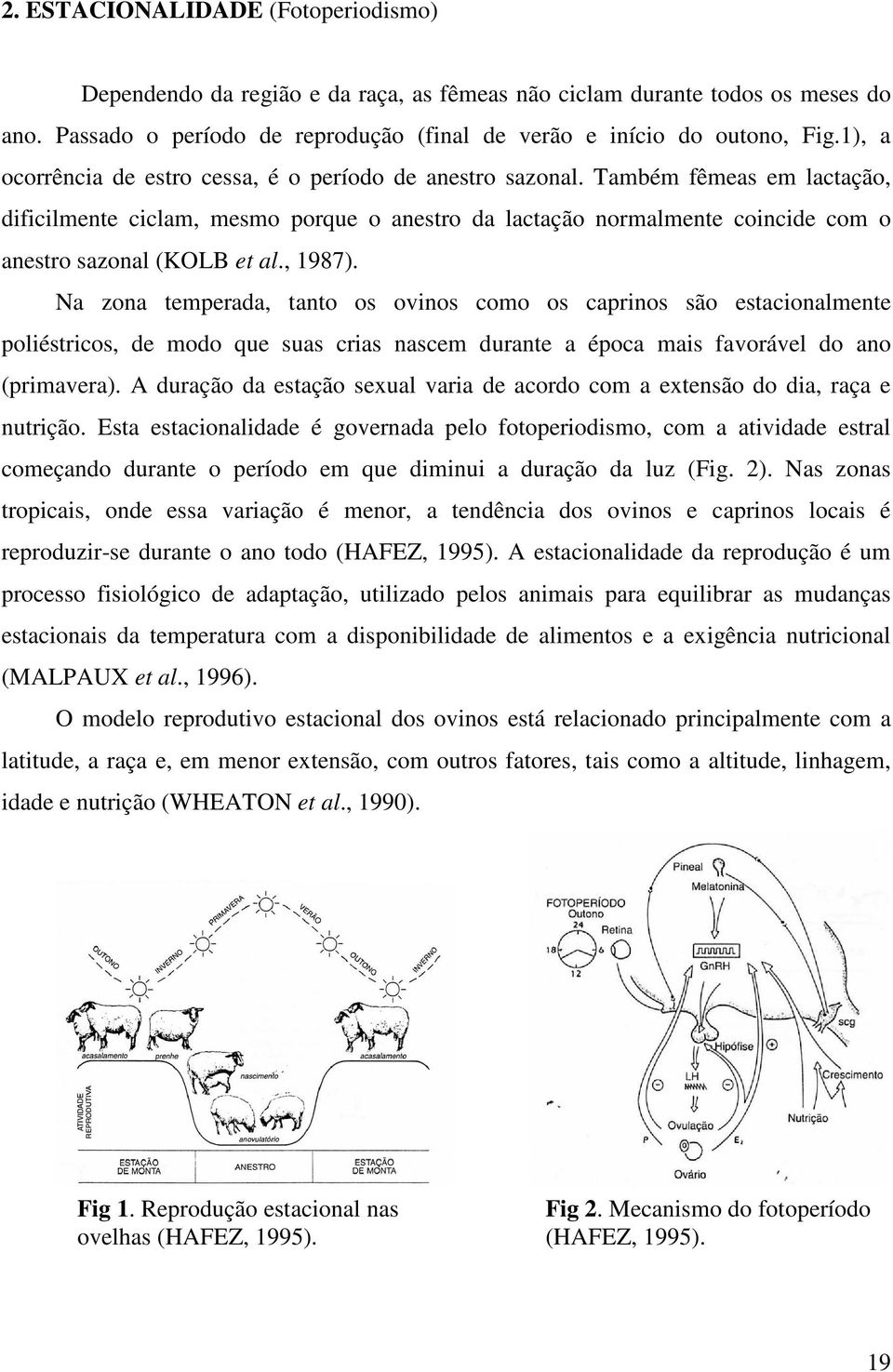 Também fêmeas em lactação, dificilmente ciclam, mesmo porque o anestro da lactação normalmente coincide com o anestro sazonal (KOLB et al., 1987).