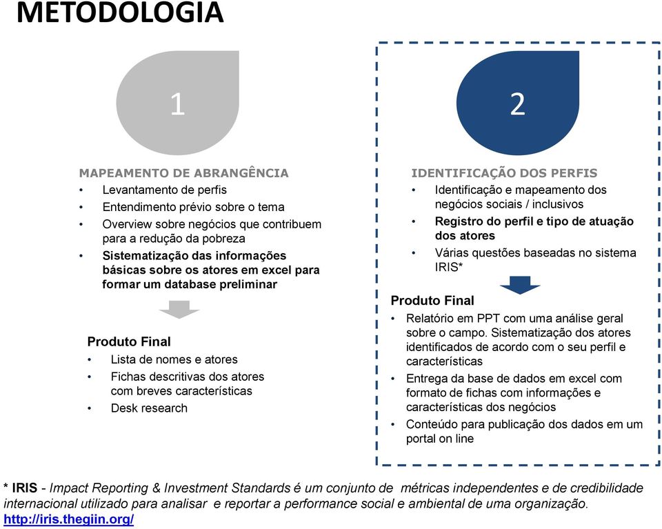 PERFIS Identificação e mapeamento dos negócios sociais / inclusivos Registro do perfil e tipo de atuação dos atores Várias questões baseadas no sistema IRIS* Produto Final Relatório em PPT com uma