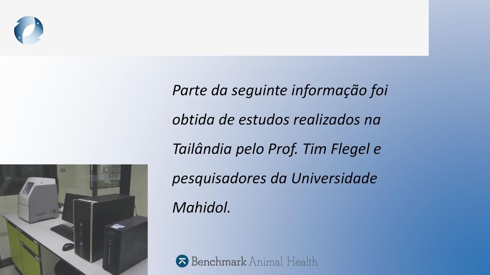 Tailândia pelo Prof.