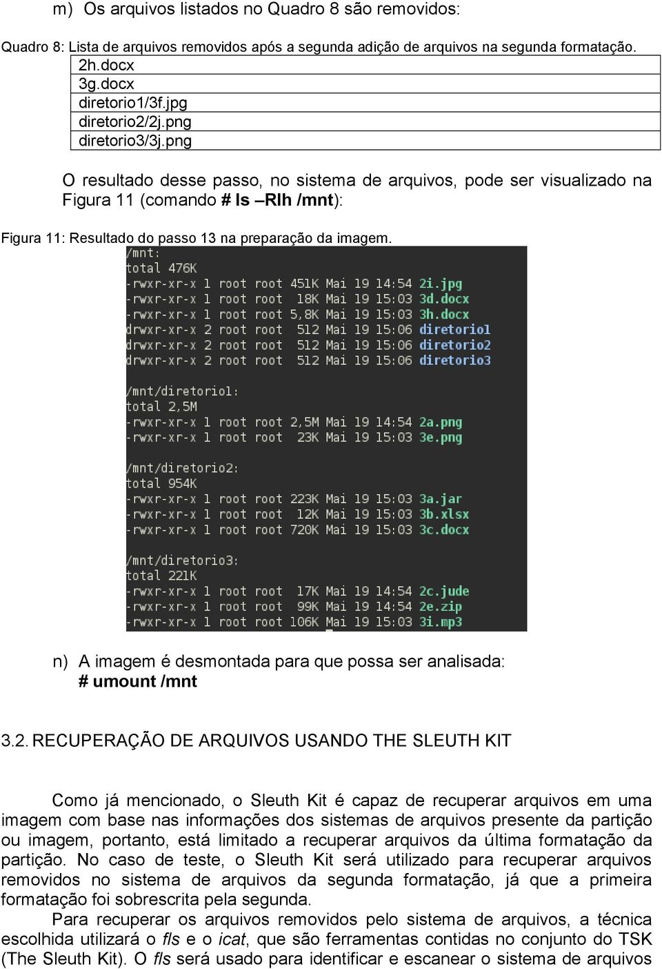 n) A imagem é desmontada para que possa ser analisada: # umount /mnt 3.2.