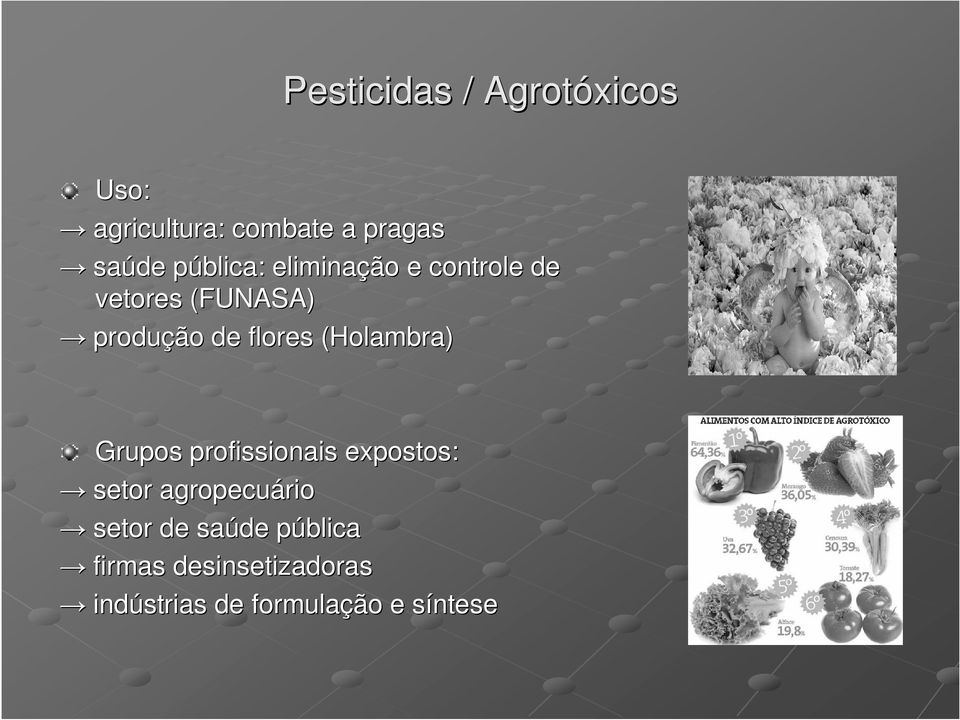 (Holambra( Holambra) Grupos profissionais expostos: setor agropecuário