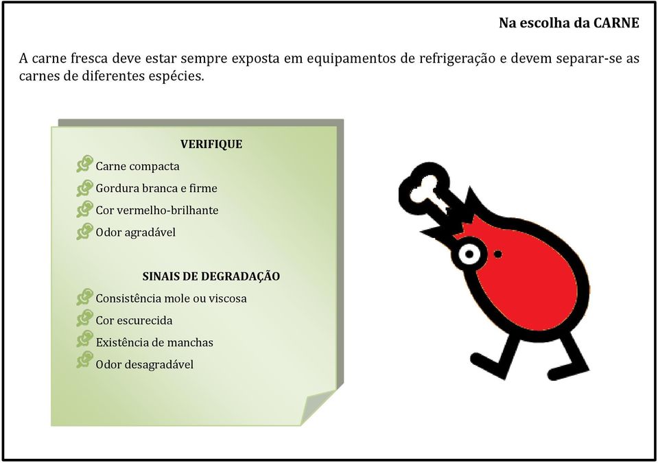 VERIFIQUE Carne compacta Gordura branca e firme Cor vermelho-brilhante Odor