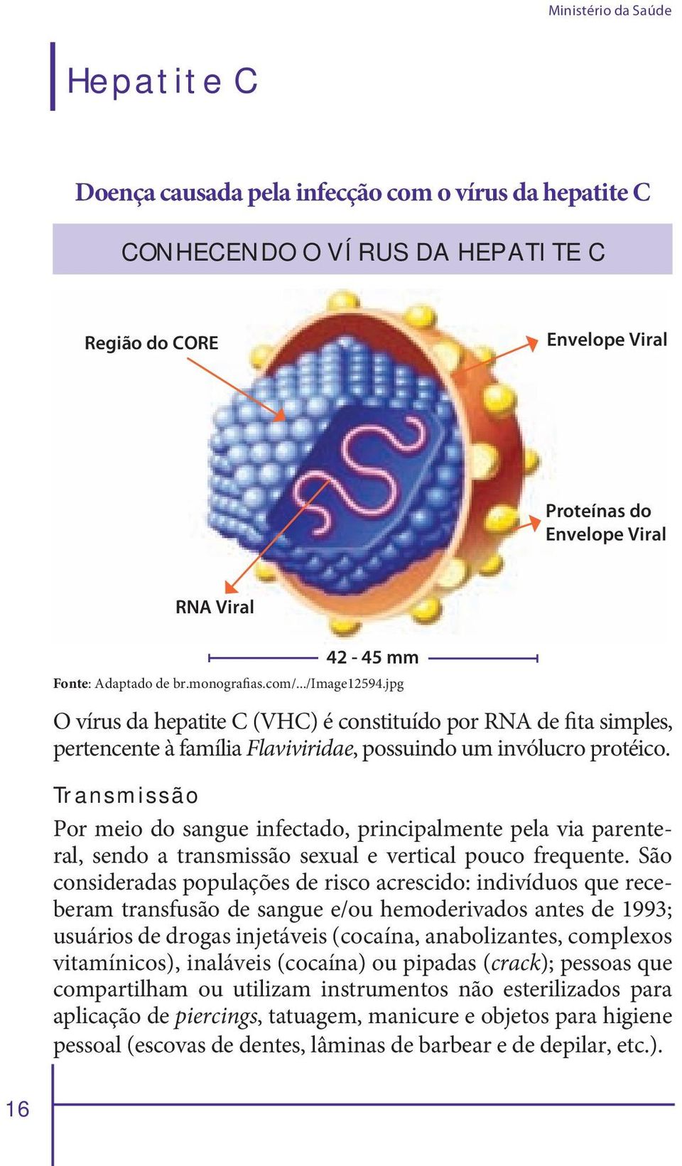 Transmissã o Por meio do sangue infectado, principalmente pela via parenteral, sendo a transmissão sexual e vertical pouco frequente.