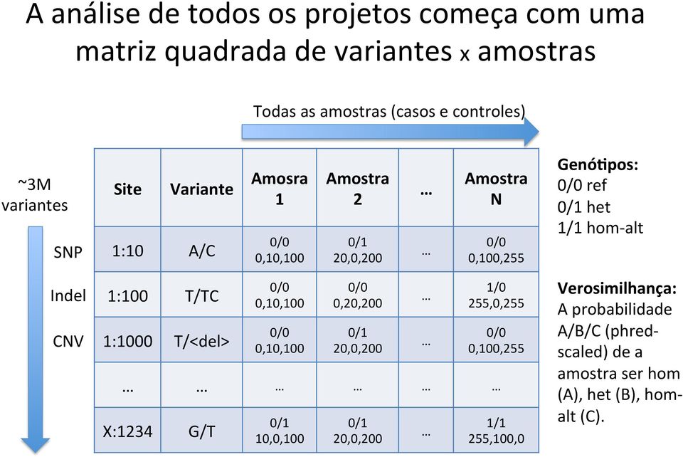 hom- alt Indel CNV 1:100 T/TC 1:1000 T/<del> 0/0 0,10,100 0/0 0,10,100 0/0 0,20,200 0/1 20,0,200 1/0 255,0,255 0/0 0,100,255 X:1234 G/T