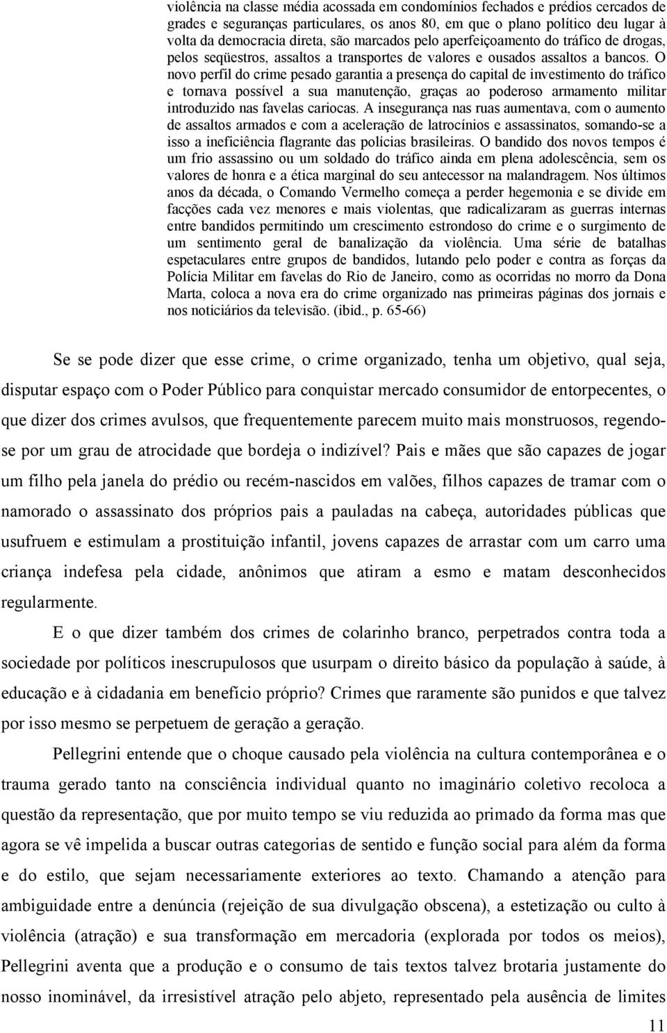 O novo perfil do crime pesado garantia a presença do capital de investimento do tráfico e tornava possível a sua manutenção, graças ao poderoso armamento militar introduzido nas favelas cariocas.