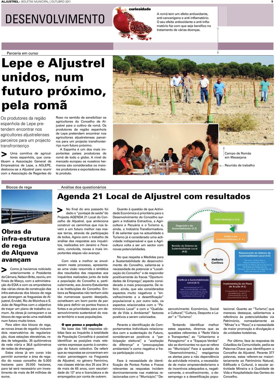 Parceria em curso Lepe e Aljustrel unidos, num futuro próximo, pela romã Os produtores da região espanhola de Lepe pretendem encontrar nos agricultores aljustrelenses parceiros para um projecto