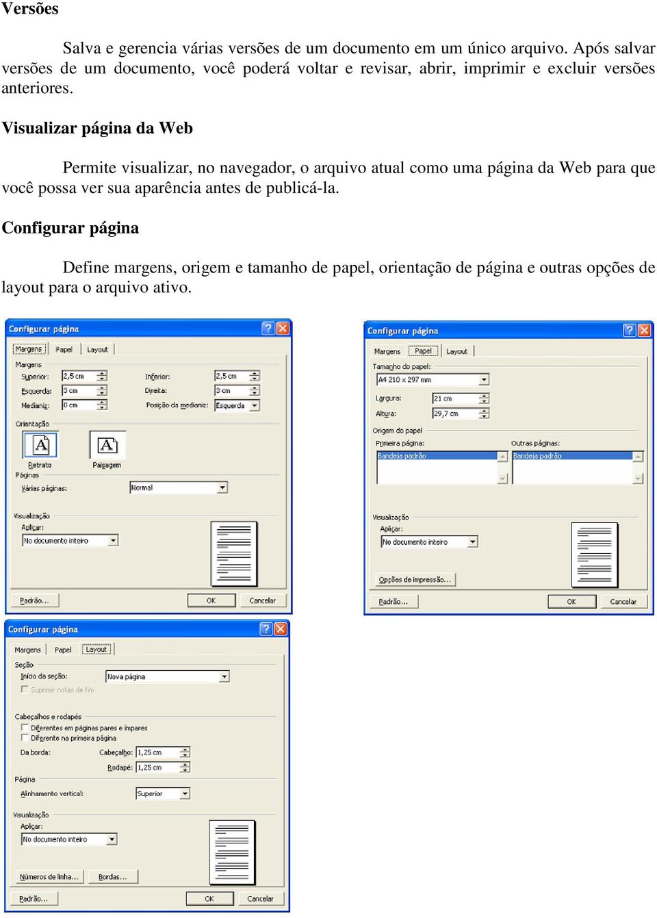 Visualizar página da Web Permite visualizar, no navegador, o arquivo atual como uma página da Web para que você possa