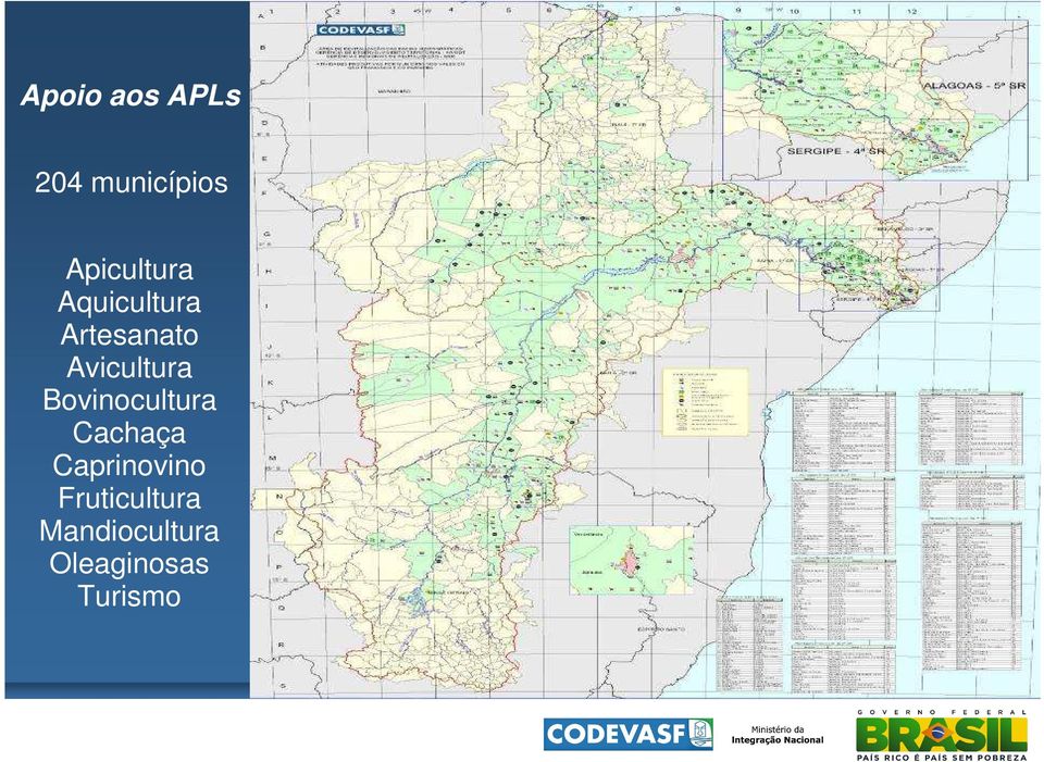 Avicultura Bovinocultura Cachaça