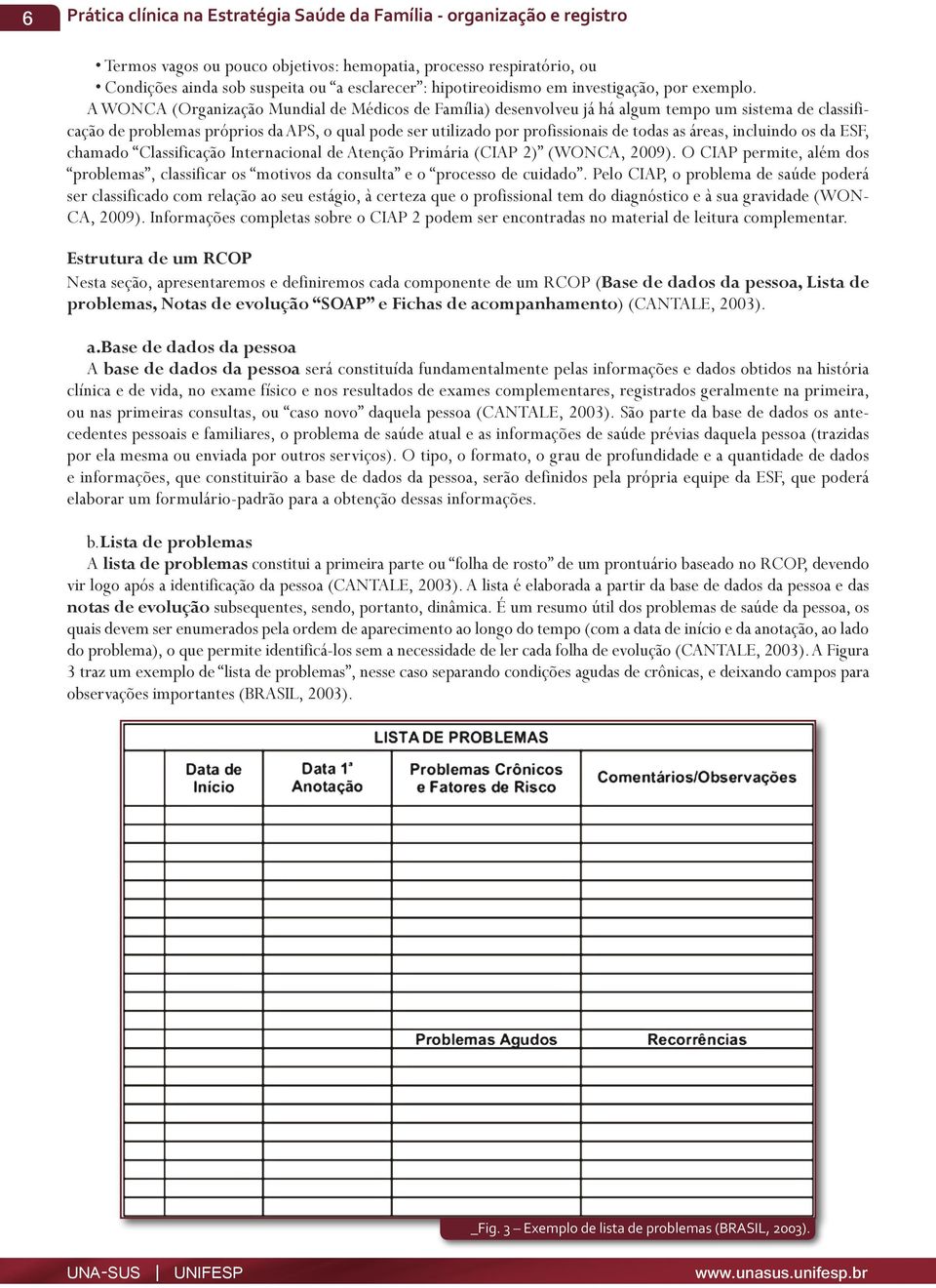 A WONCA (Organização Mundial de Médicos de Família) desenvolveu já há algum tempo um sistema de classificação de problemas próprios da APS, o qual pode ser utilizado por profissionais de todas as