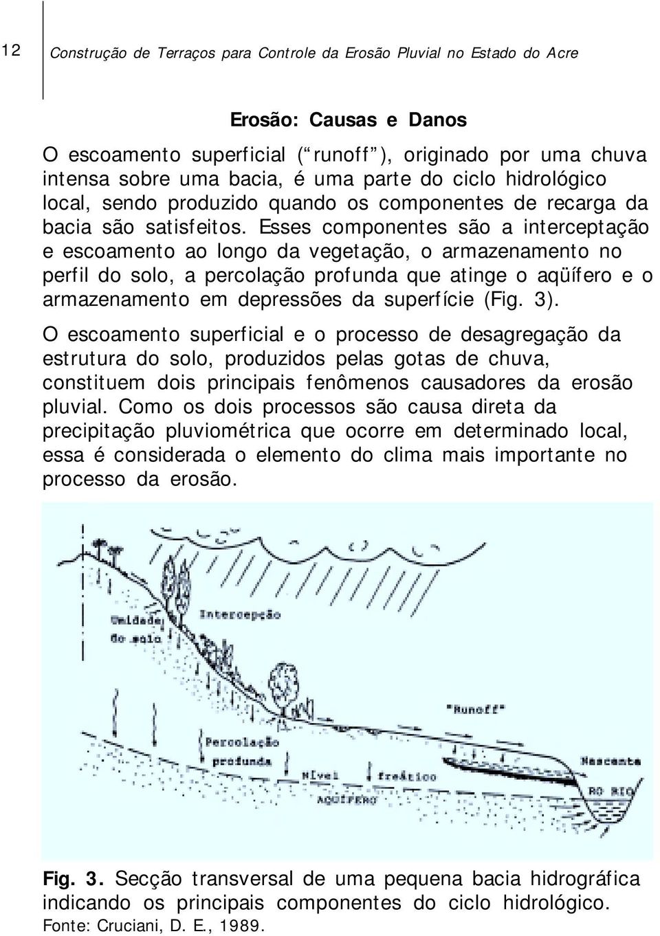 Esses componentes são a interceptação e escoamento ao longo da vegetação, o armazenamento no perfil do solo, a percolação profunda que atinge o aqüífero e o armazenamento em depressões da superfície