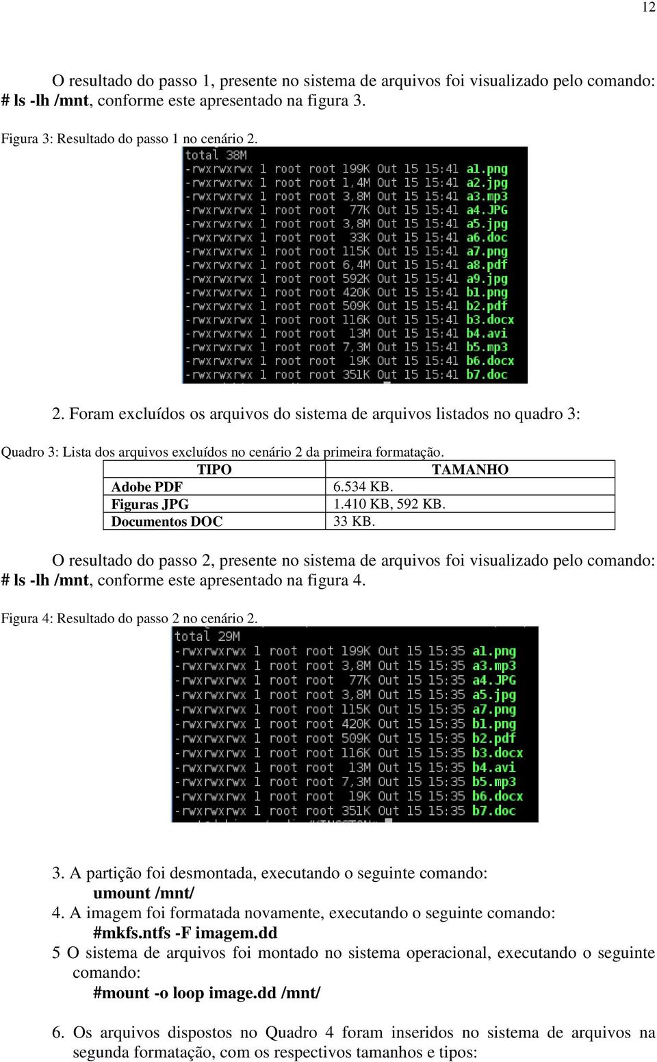 410 KB, 592 KB. Documentos DOC 33 KB. O resultado do passo 2, presente no sistema de arquivos foi visualizado pelo comando: # ls -lh /mnt, conforme este apresentado na figura 4.