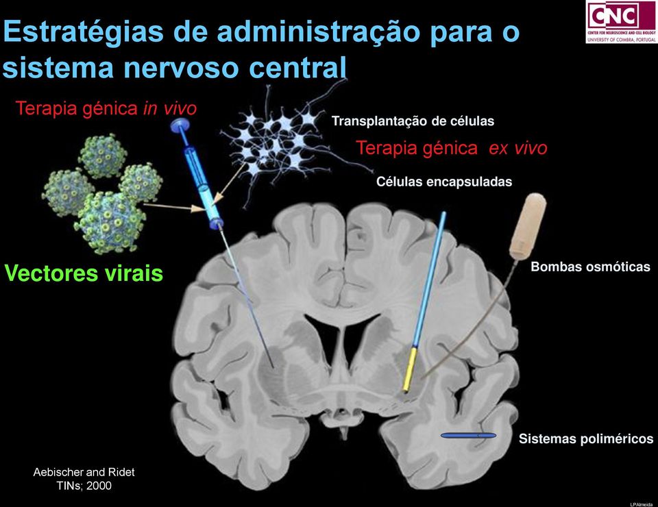 génica ex vivo Células encapsuladas Vectores virais Bombas