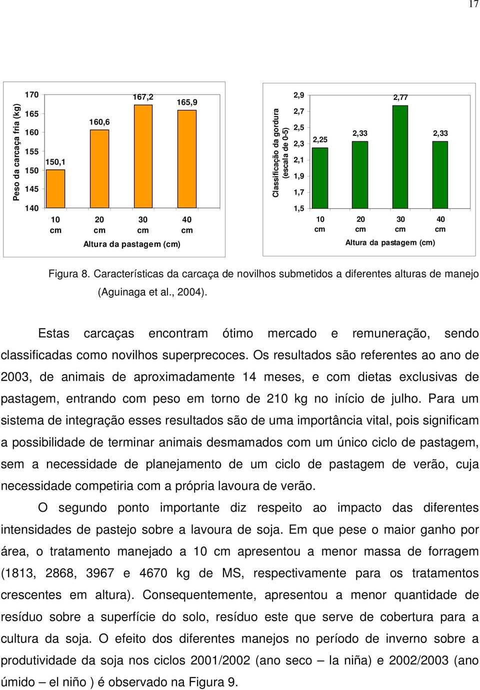 Estas carcaças encontram ótimo mercado e remuneração, sendo classificadas como novilhos superprecoces.