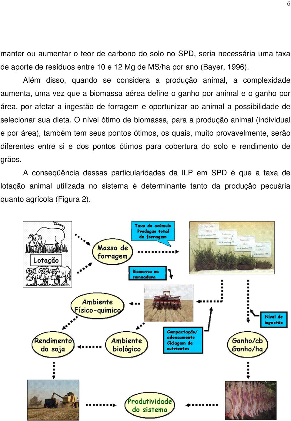 ao animal a possibilidade de selecionar sua dieta.