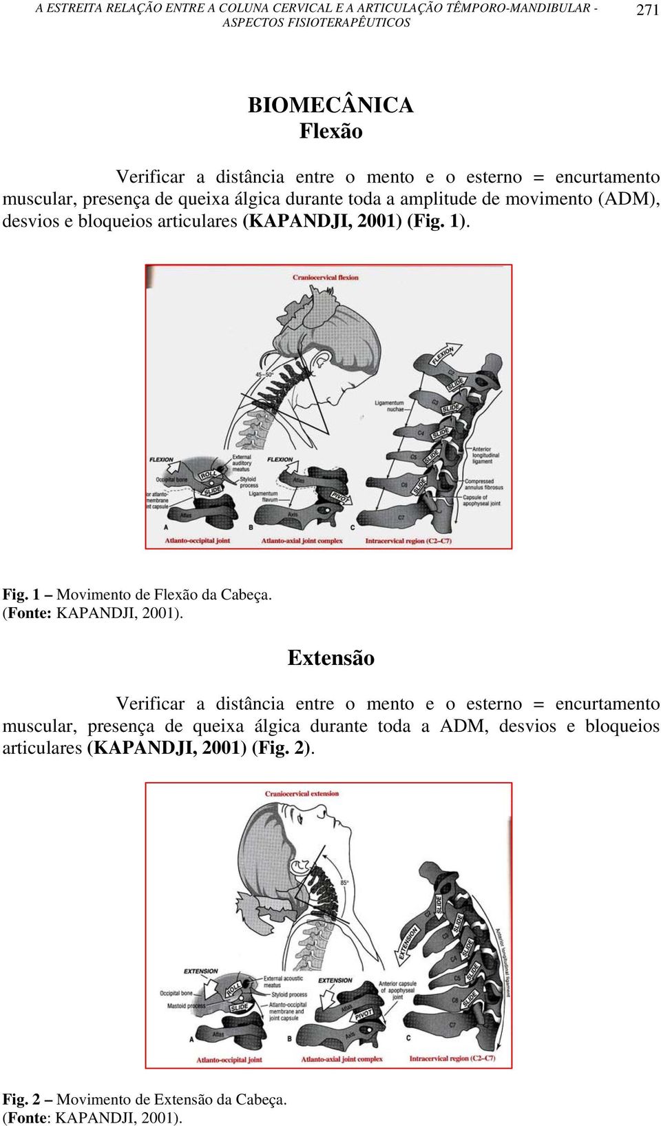 (Fonte: KAPANDJI, 2001).