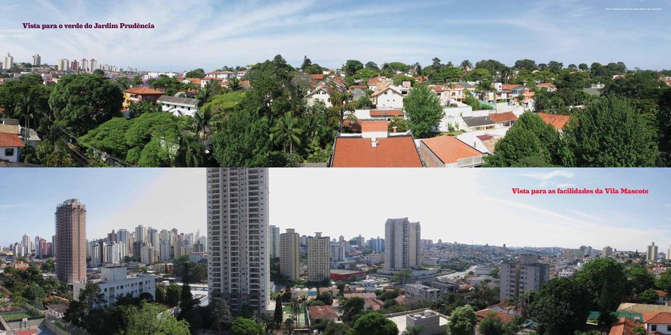 Vista para o verde do Jardim