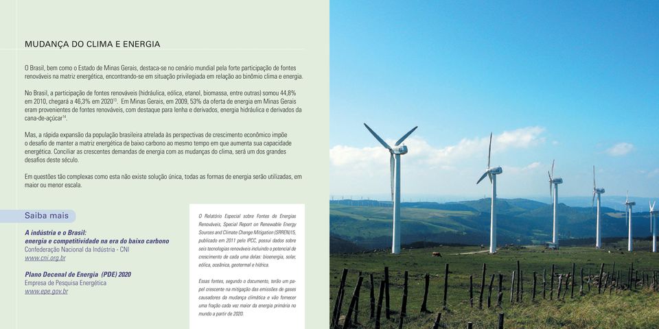 Em Minas Gerais, em 2009, 53% da oferta de energia em Minas Gerais eram provenientes de fontes renováveis, com destaque para lenha e derivados, energia hidráulica e derivados da cana-de-açúcar 14.