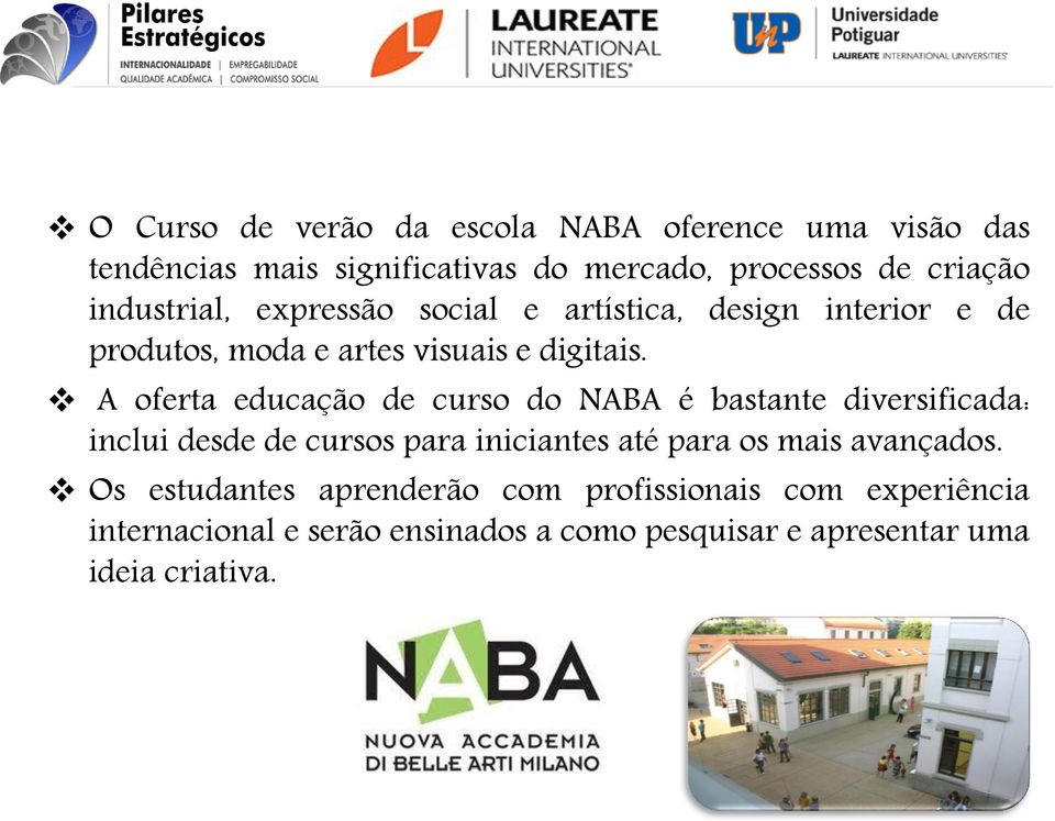 A oferta educação de curso do NABA é bastante diversificada: inclui desde de cursos para iniciantes até para os mais