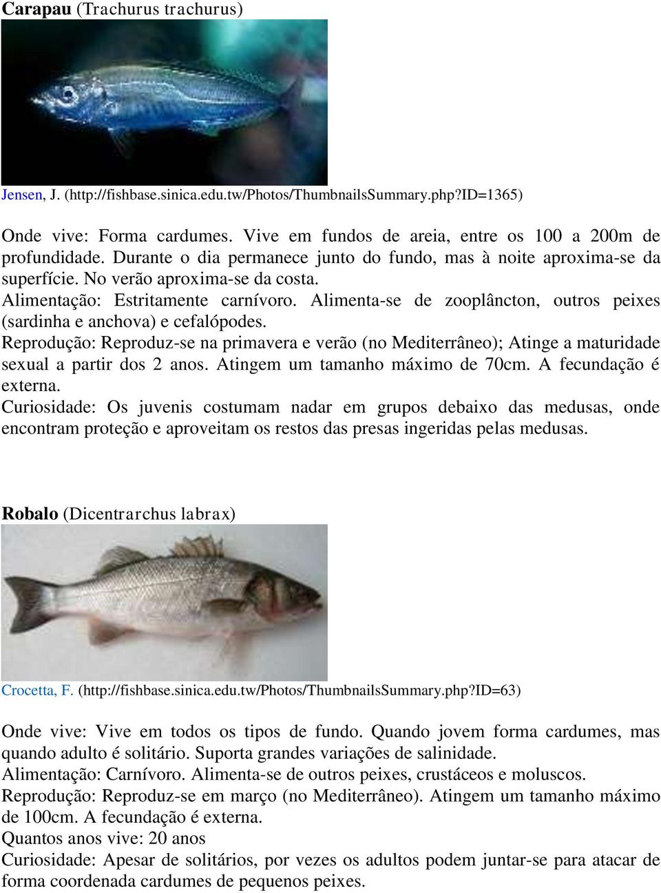 Alimenta-se de zooplâncton, outros peixes (sardinha e anchova) e cefalópodes. Reprodução: Reproduz-se na primavera e verão (no Mediterrâneo); Atinge a maturidade sexual a partir dos 2 anos.