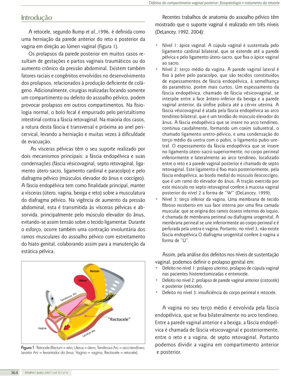 Existem também fatores raciais e congênitos envolvidos no desenvolvimento dos prolapsos, relacionados à produção deficiente de colágeno.