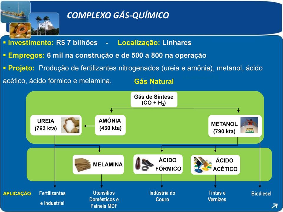 Gás Natural Gás de Síntese (CO + H 2 ) 3,6 milhões m³/d UREIA (763 kta) AMÔNIA (430 kta) METANOL (790 kta) MELAMINA ÁCIDO